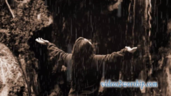 Read more about the article Young Woman Worshiping In The Rain