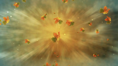 Read more about the article Fall Leaves Still Background