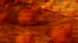 Autumn Pumpkins Motion Worship Loop