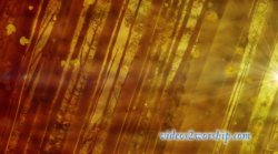 Read more about the article Forest During Fall Season Motion Loop