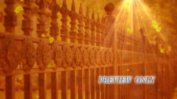 Read more about the article Fence And Falling Leaves Autumn Motion