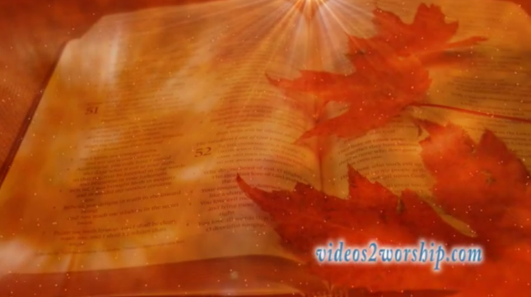 Read more about the article Autumn Bible And Dust Motion Loop