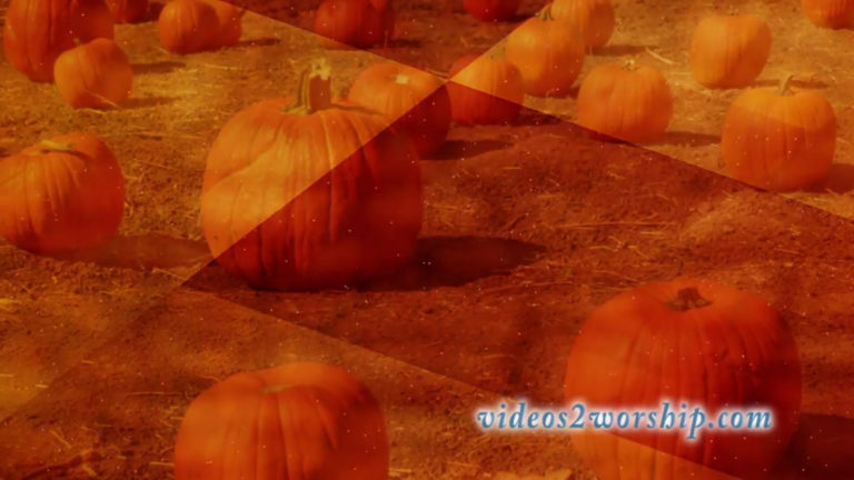 Read more about the article Autumn Pumpkins Motion Worship Loop