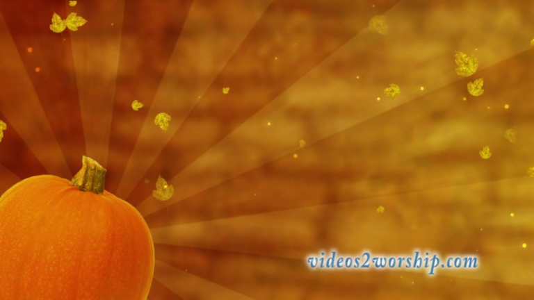 Read more about the article Autumn Pumpkin Motion Loop