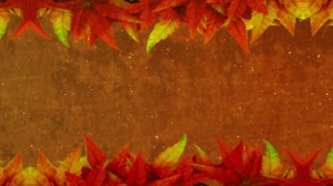 Read more about the article Autumn Leaves And Dust Particles Slide