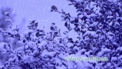 Read more about the article Winter Holidays Loopable Motion