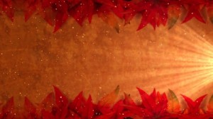 Read more about the article Fall Still Background Slide