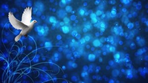 Read more about the article White Dove Still Worship Slide