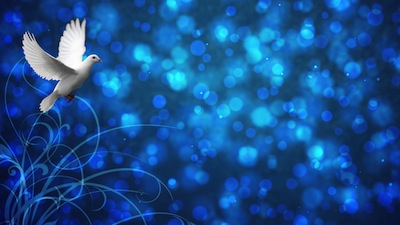 Read more about the article White Dove Still Worship Slide