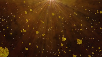 Read more about the article Falling Autumn Leaves Still Background