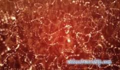 Read more about the article Abstract Particles Motion Video