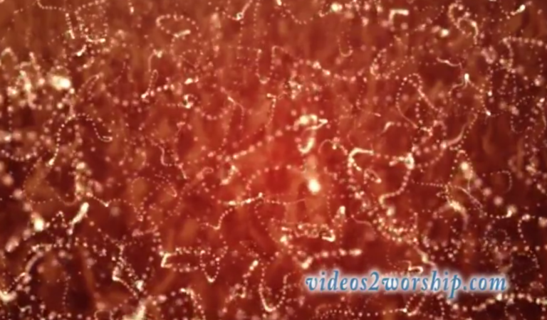 Read more about the article Abstract Particles Motion Video