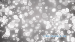 Read more about the article Silver Bokeh Worship Motion Loop