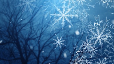 Read more about the article Winter Holidays Slide: Tree And Large Snow Flakes