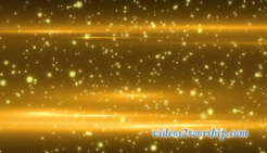 Read more about the article Orange Aminated Particles Worship Loop