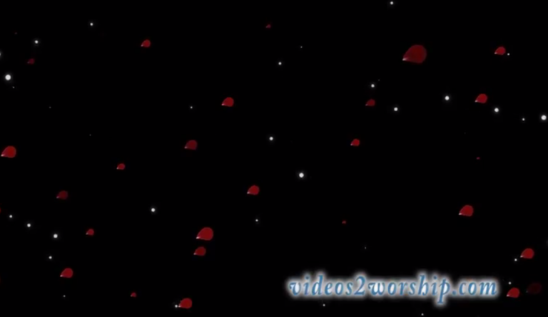 Read more about the article Valentine Red Petals And White Particles