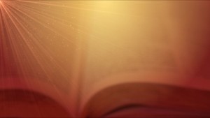 Read more about the article Still Bible Backdrop