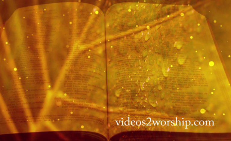 Read more about the article Palm Sunday Bible Background