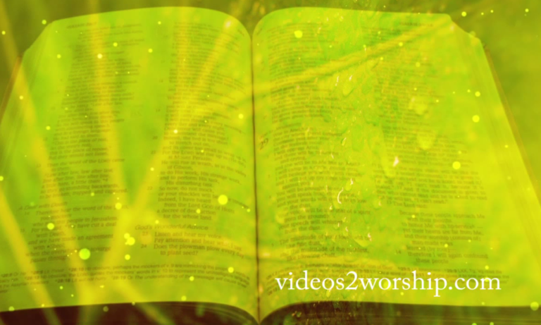 Read more about the article Palm Branch And Bible Motion