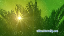 Read more about the article Palm Branches Seamless Background