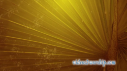 Read more about the article Grunge Palm Leaf Worship Motion