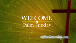 Read more about the article Palm Sunday Welcome Background Loop