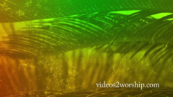 Read more about the article Palm Sunday Branch And Particles