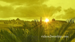 Read more about the article Palm Sunday Jerusalem Motion Loop