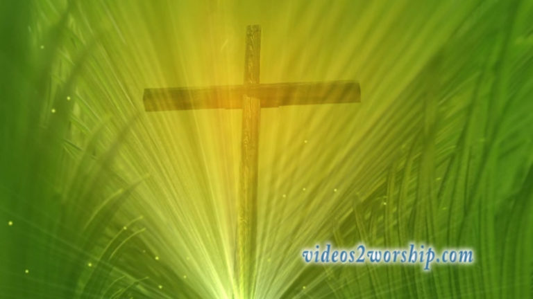 Read more about the article Palm Branches And Cross Motion