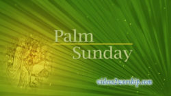 Read more about the article Palm Sunday Title Background Loop