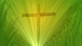 Palm Sunday 2