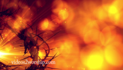 Read more about the article Suffering Servant: Crown Of Thorns
