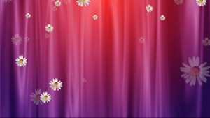 Curtain And Flowers