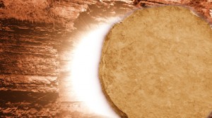 Read more about the article Empty Tomb: Resurrection Still Slide