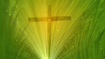 Read more about the article Pam Sunday Cross And Branch Still Slide