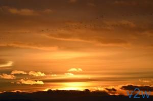 Read more about the article Amazing Sunset Still Background Slide