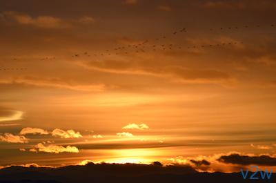 Still Sunset Slide 5