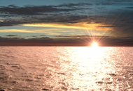 Summer Motion Loop: Ocean Wonder