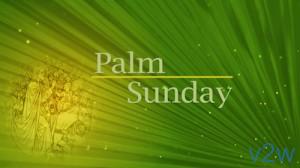Read more about the article Still Palm Sunday Title Background