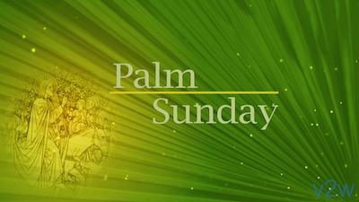 Read more about the article Still Palm Sunday Title Background
