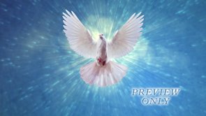 Read more about the article Dove In Flight Worship Background Loop