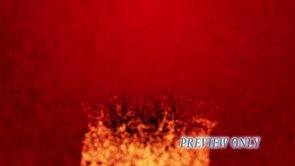 Read more about the article Burning Bush Motion Worship Background