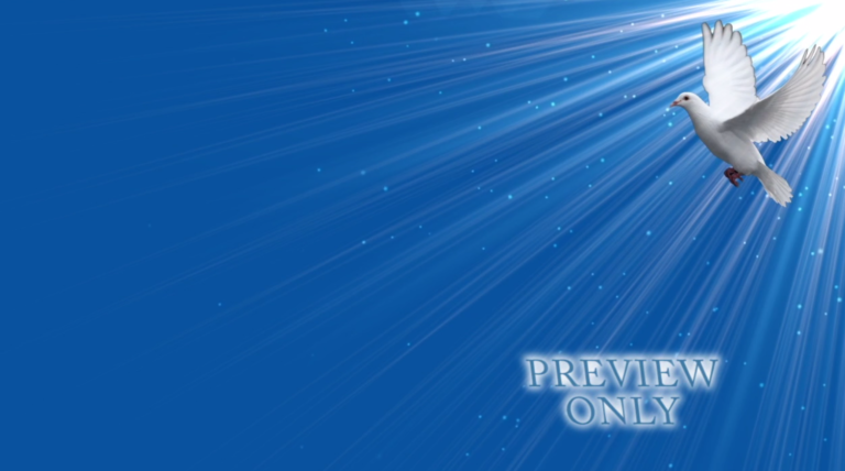 Read more about the article Dove In Flight Motion Background