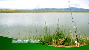 Read more about the article Father’s Day Fishing Pole By The Lake