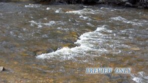 Read more about the article Nature Background Loop: Real Moving River Video