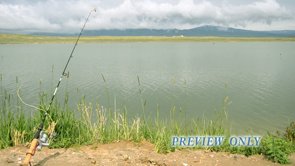 Read more about the article Fishing Pole: Father’s Day Motion