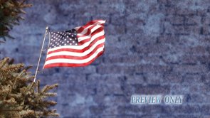 American Flag and Evergreen Branches