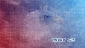 Read more about the article Bald Eagle Fourth Of July Patriotic Motion