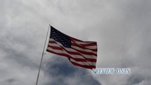 Read more about the article Our Flag Stands For Freedom Patriotic Motion