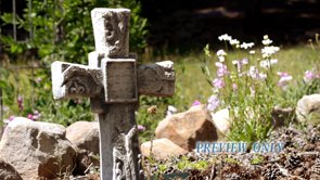 Read more about the article Stone Cross Worship Motion Worship Loop